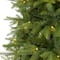 6.5ft. Pre-Lit Vancouver Fir Natural Look Artificial Christmas Tree, Clear LED Lights